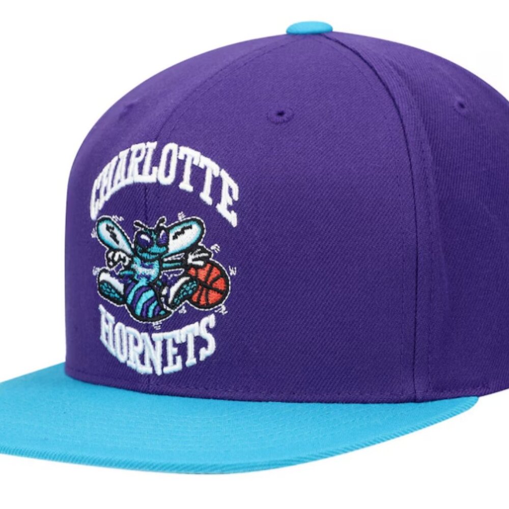 Charlotte Hornets SnapBack